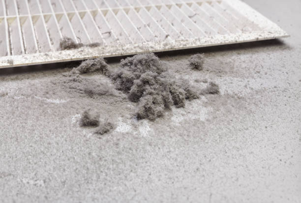 Best HVAC Duct Inspection Services  in Cienegas Terrace, TX