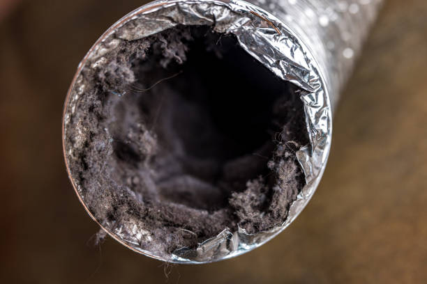 Best HVAC Air Duct Cleaning  in Cienegas Terrace, TX