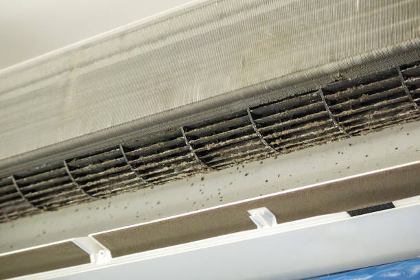 Best Affordable Air Duct Cleaning  in Cienegas Terrace, TX