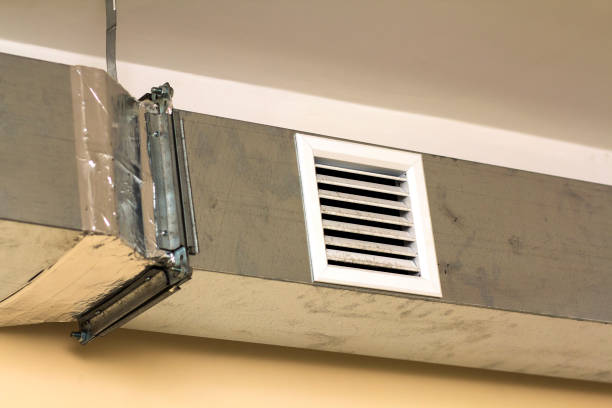 Best Air Duct Cleaning Company Near Me  in Cienegas Terrace, TX